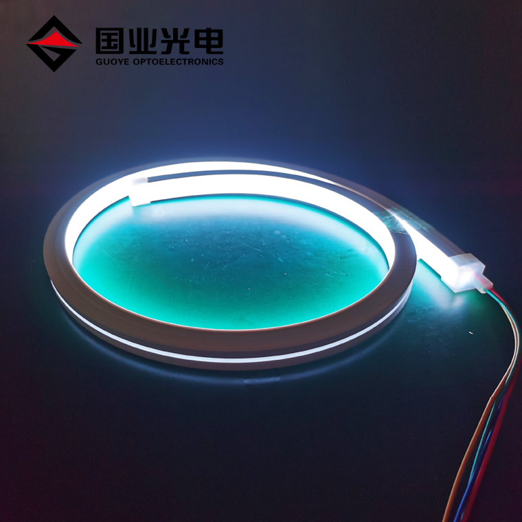 Neon Light Strips ၏ဘုံအရွယ်အစားများကဘာတွေလဲ။