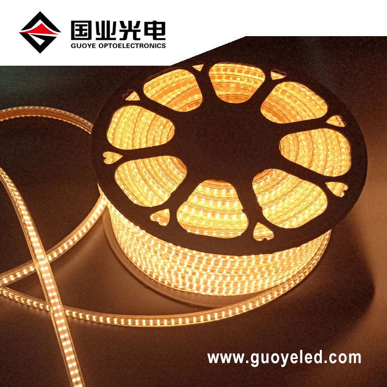 စွမ်းဆောင်ရည်မြင့်မားသော 220v led strip