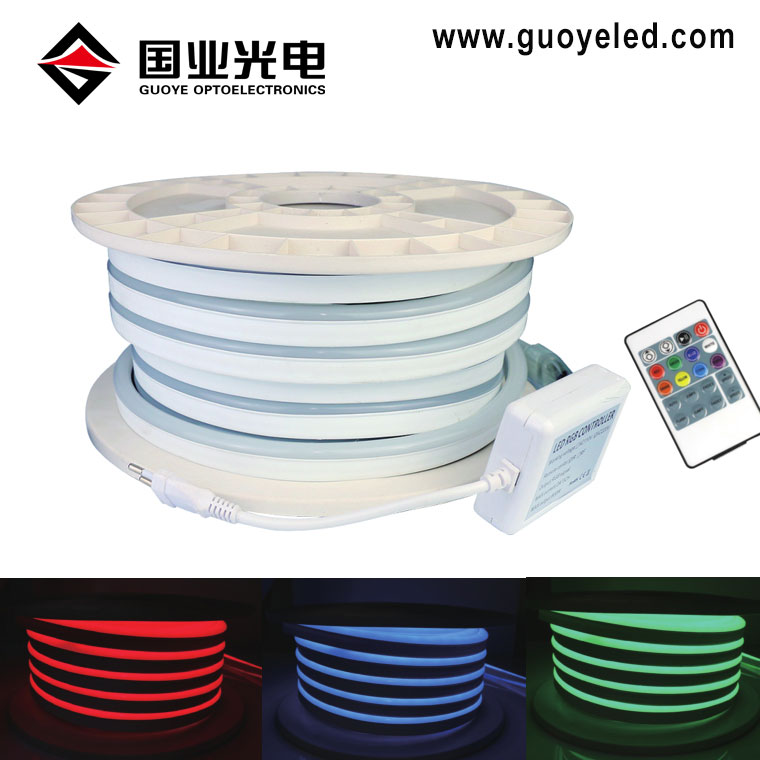 RGB LED နီယွန်ကြိုးမီး 220V